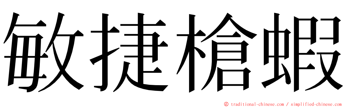 敏捷槍蝦 ming font