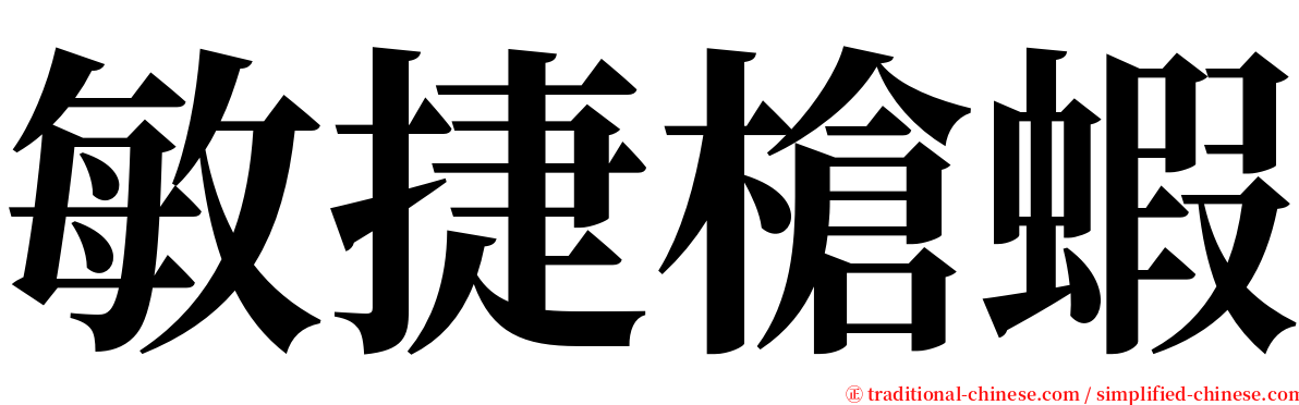 敏捷槍蝦 serif font