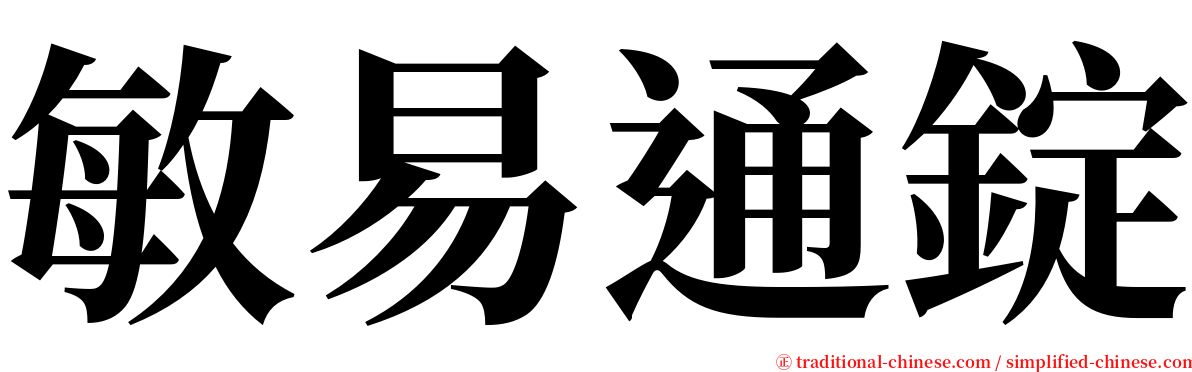 敏易通錠 serif font