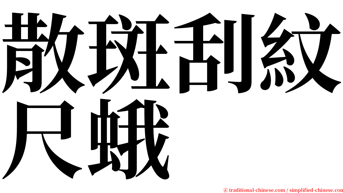 散斑刮紋尺蛾 serif font