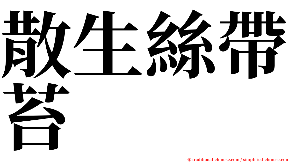 散生絲帶苔 serif font