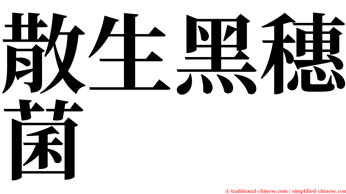 散生黑穗菌 serif font