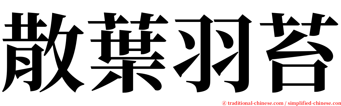 散葉羽苔 serif font