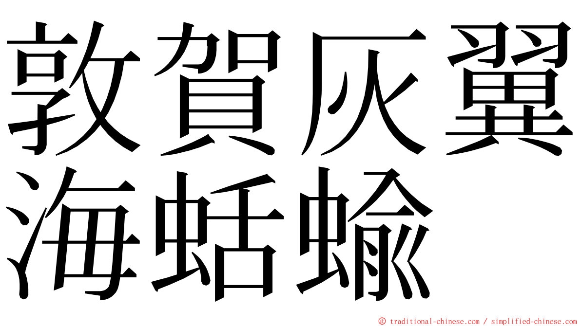 敦賀灰翼海蛞蝓 ming font