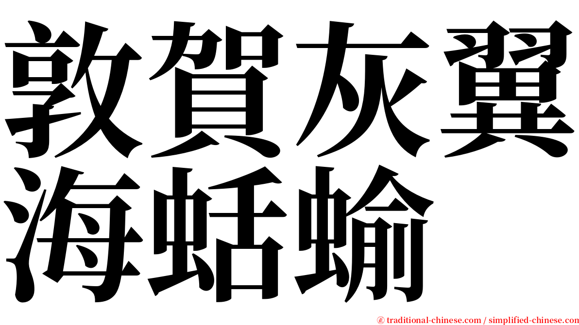 敦賀灰翼海蛞蝓 serif font