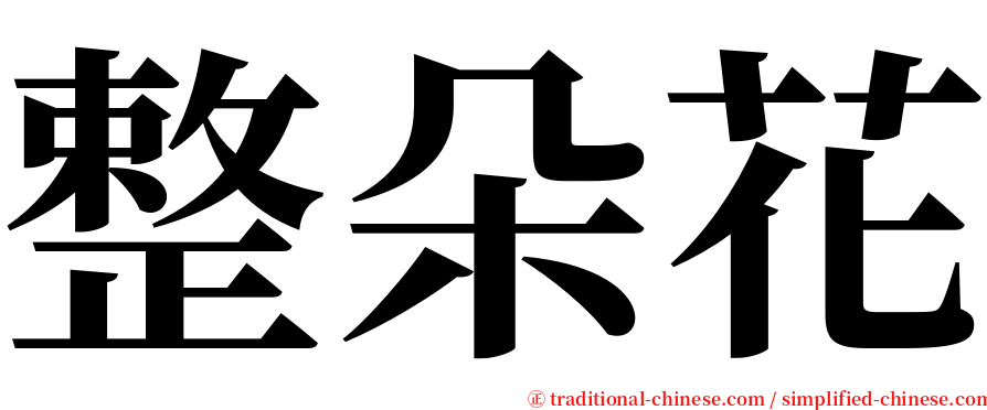 整朵花 serif font