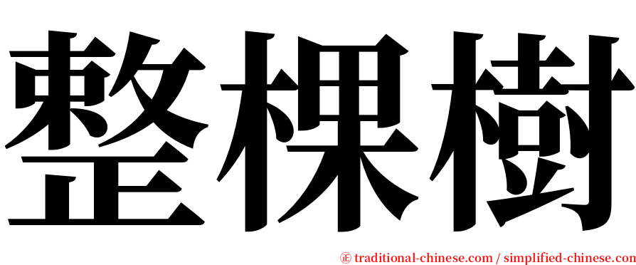 整棵樹 serif font