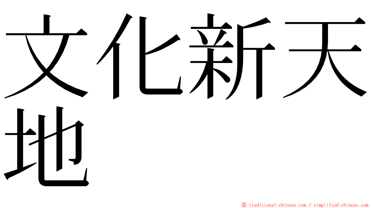 文化新天地 ming font