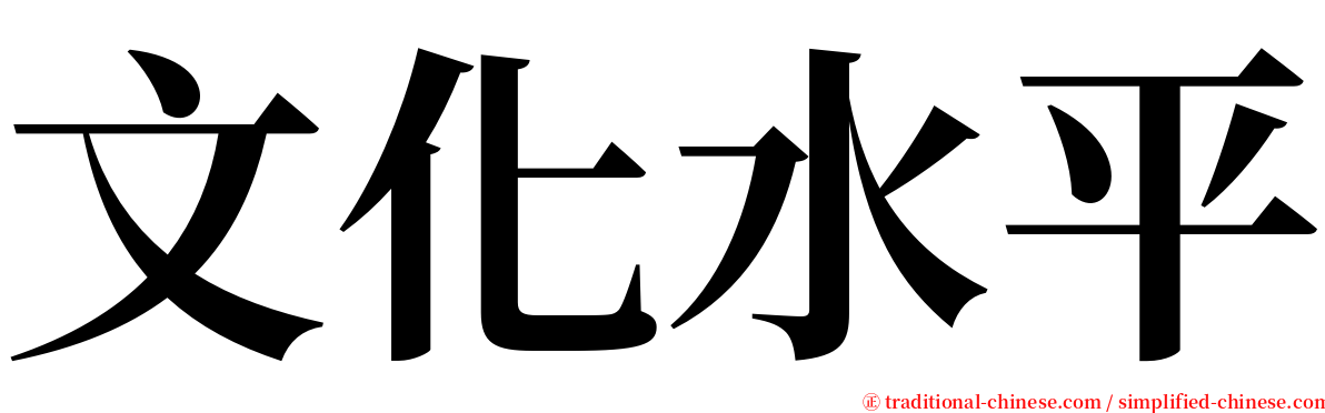 文化水平 serif font