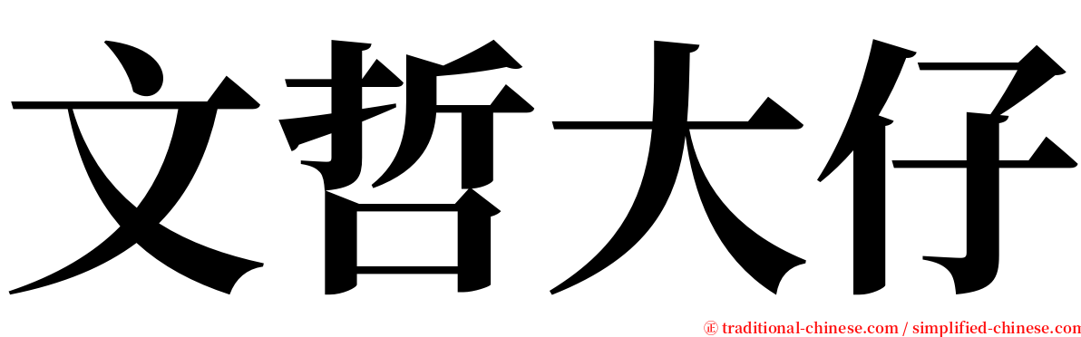 文哲大仔 serif font