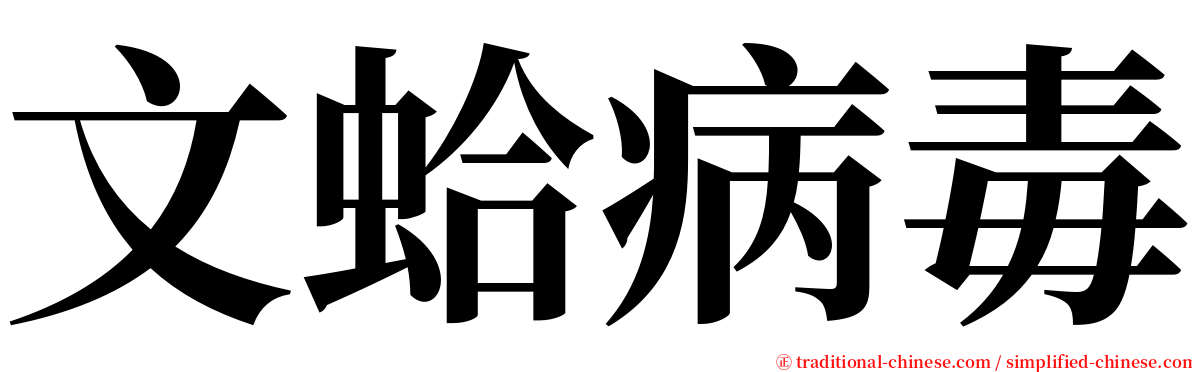 文蛤病毒 serif font