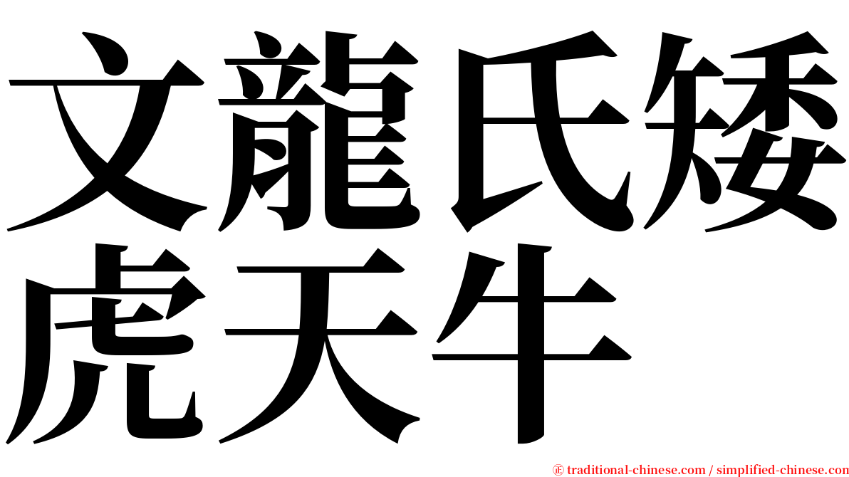 文龍氏矮虎天牛 serif font