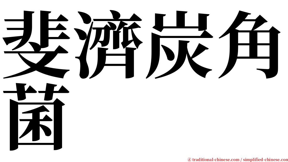 斐濟炭角菌 serif font