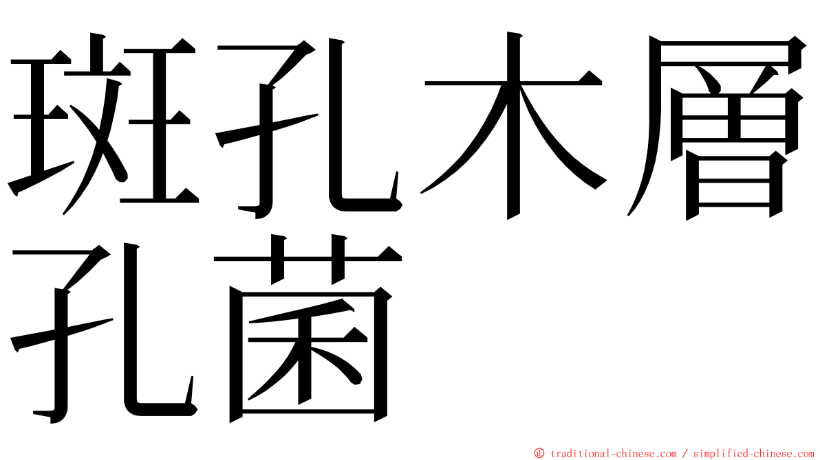 斑孔木層孔菌 ming font