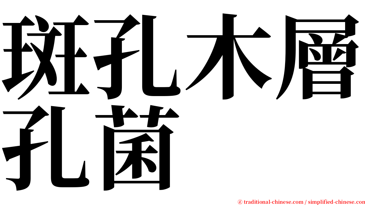 斑孔木層孔菌 serif font