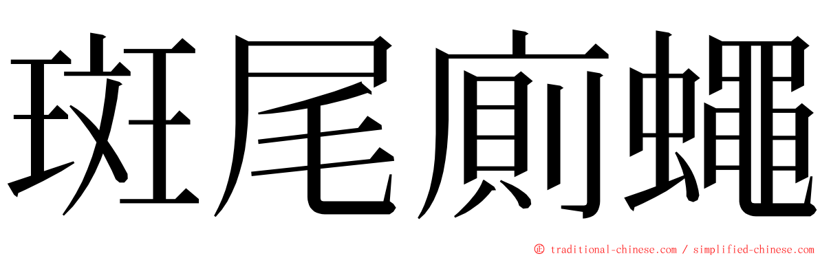 斑尾廁蠅 ming font