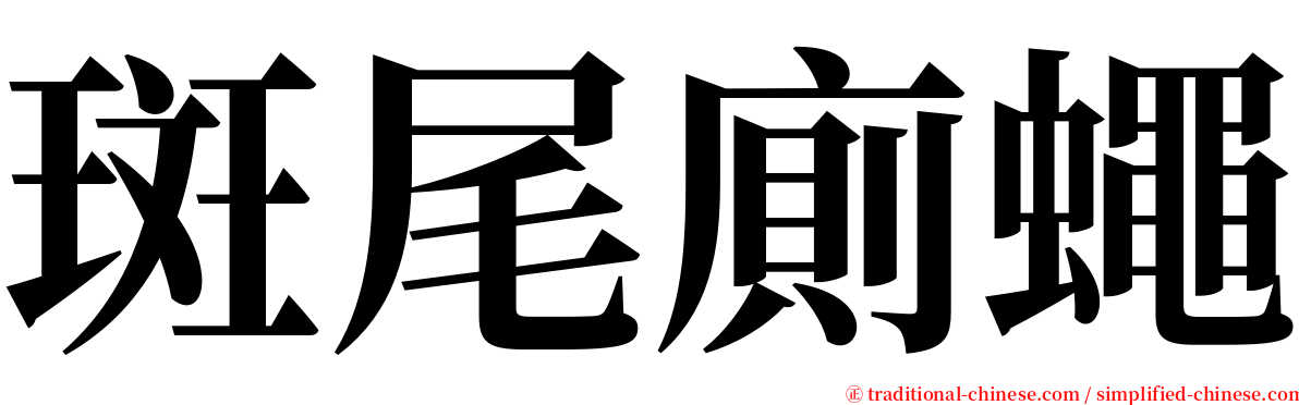 斑尾廁蠅 serif font