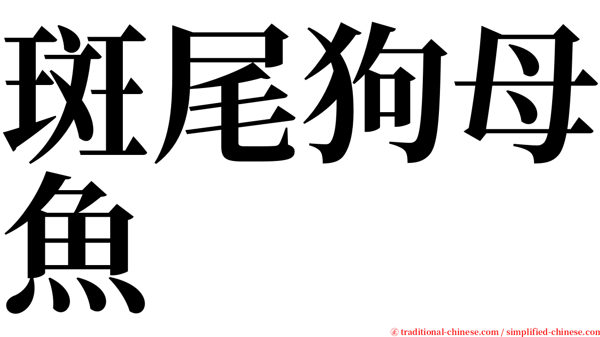 斑尾狗母魚 serif font