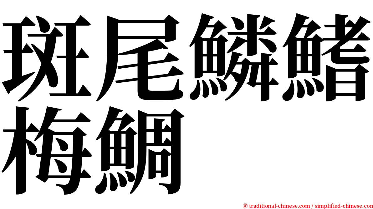 斑尾鱗鰭梅鯛 serif font