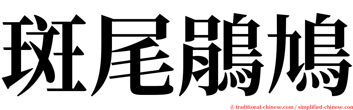 斑尾鵑鳩 serif font