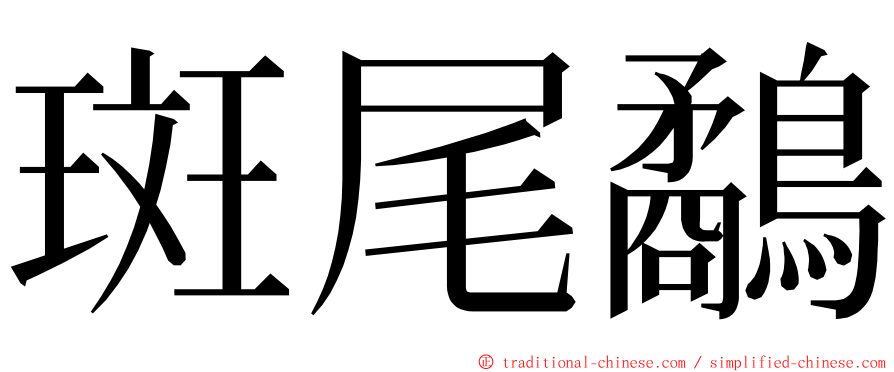 斑尾鷸 ming font