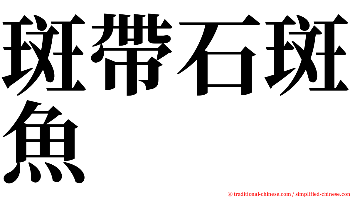 斑帶石斑魚 serif font