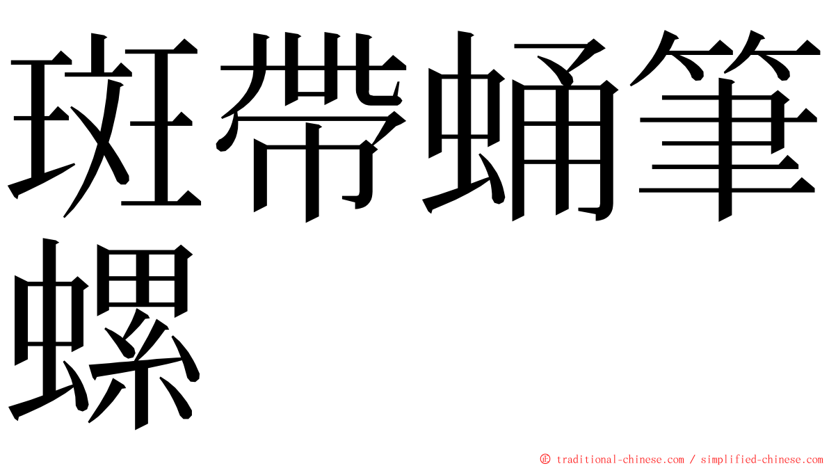斑帶蛹筆螺 ming font