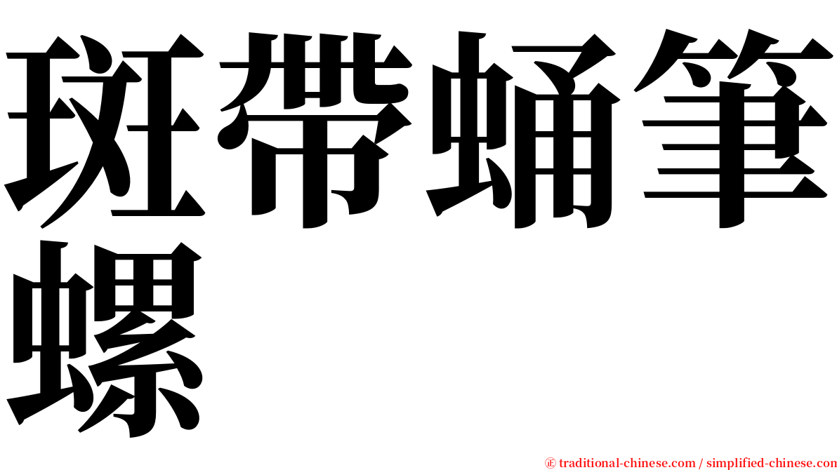 斑帶蛹筆螺 serif font