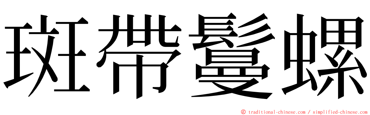 斑帶鬘螺 ming font