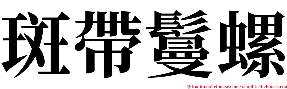 斑帶鬘螺 serif font