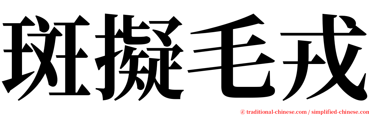 斑擬毛戎 serif font