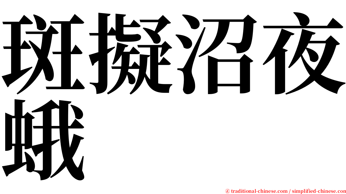 斑擬沼夜蛾 serif font