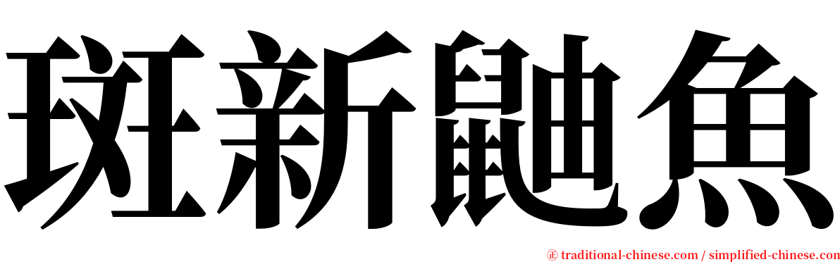 斑新鼬魚 serif font