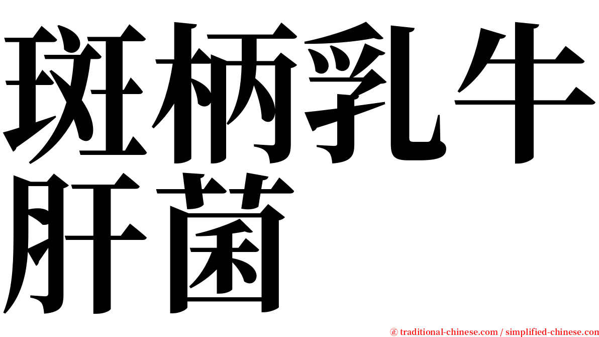 斑柄乳牛肝菌 serif font