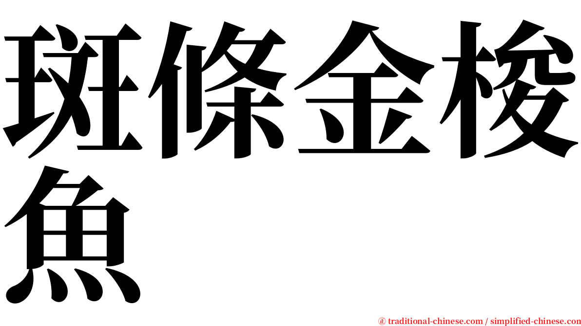 斑條金梭魚 serif font