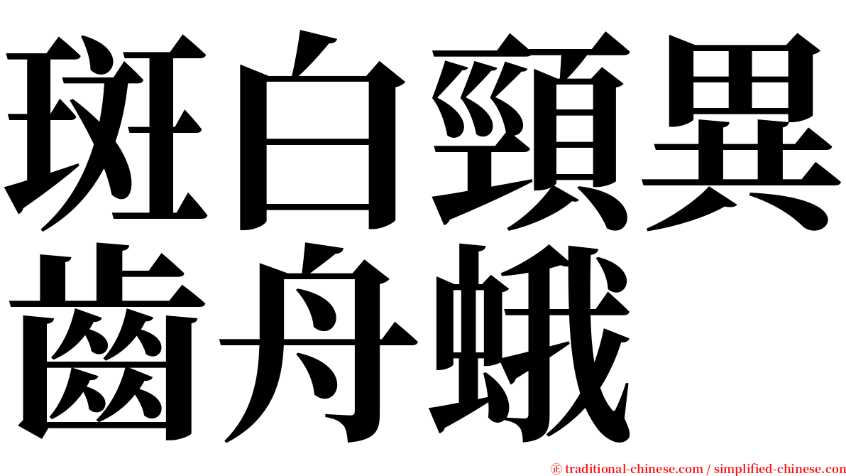 斑白頸異齒舟蛾 serif font