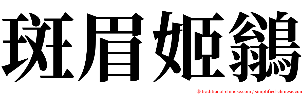 斑眉姬鶲 serif font