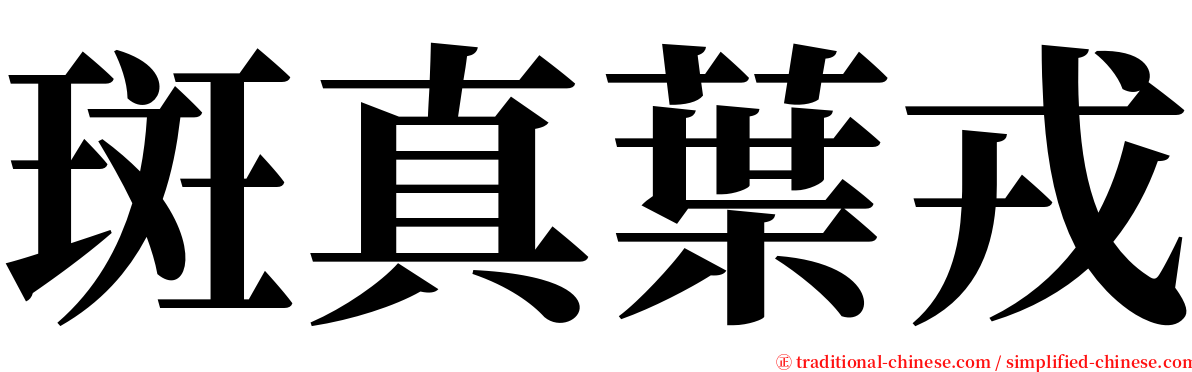 斑真葉戎 serif font