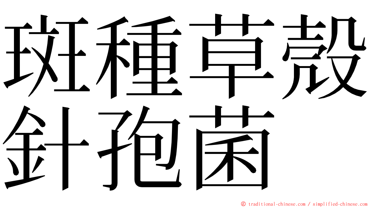 斑種草殼針孢菌 ming font