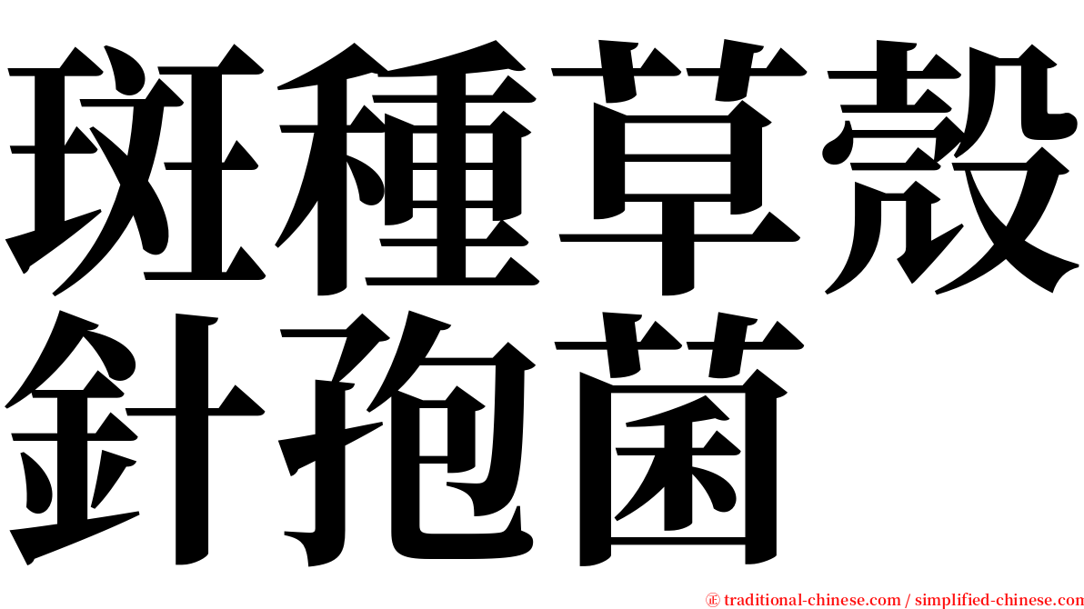 斑種草殼針孢菌 serif font