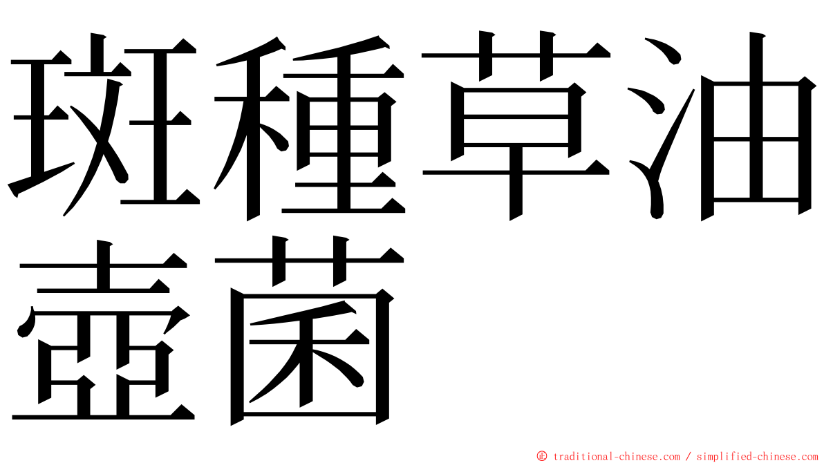 斑種草油壺菌 ming font