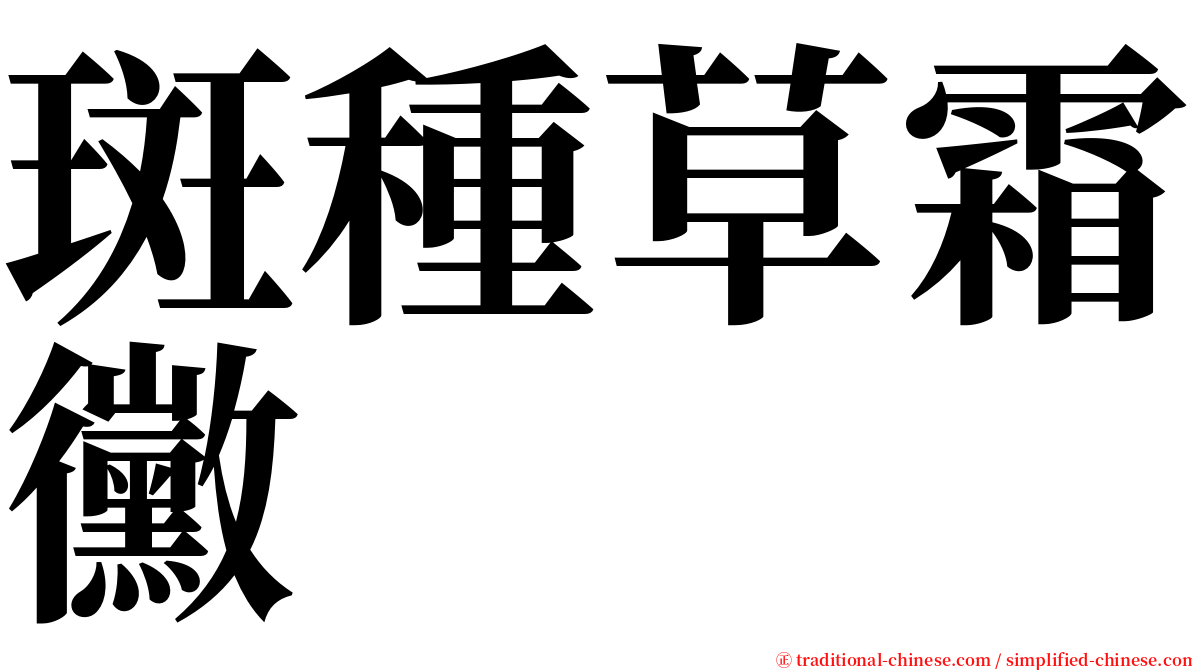 斑種草霜黴 serif font