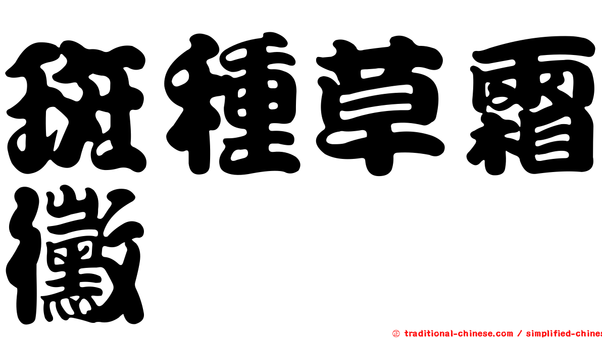 斑種草霜黴