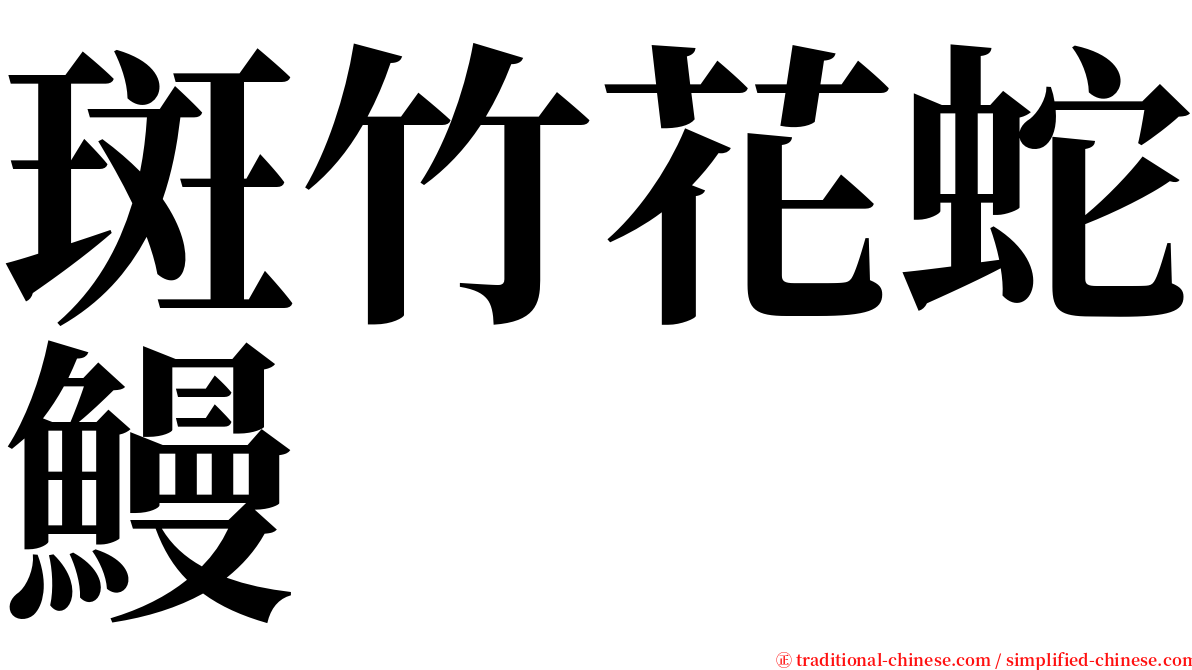 斑竹花蛇鰻 serif font