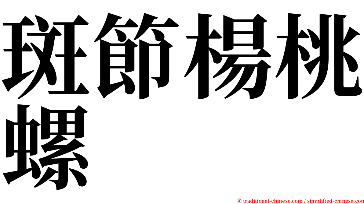 斑節楊桃螺 serif font