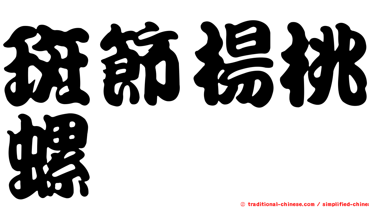 斑節楊桃螺