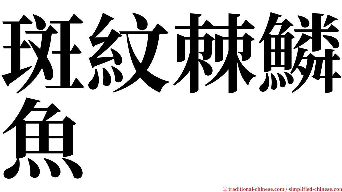 斑紋棘鱗魚 serif font