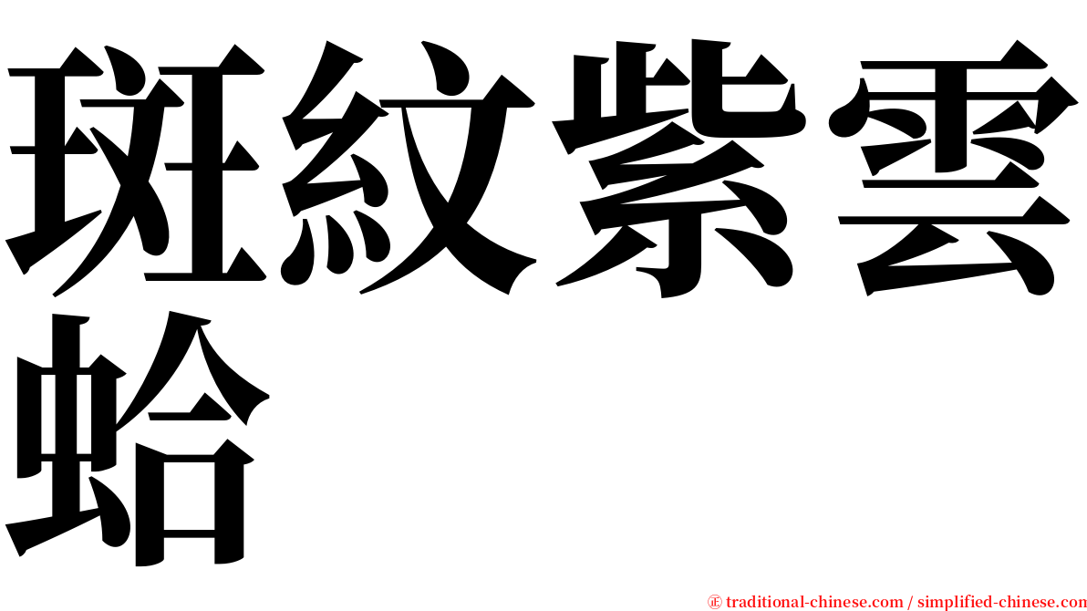 斑紋紫雲蛤 serif font