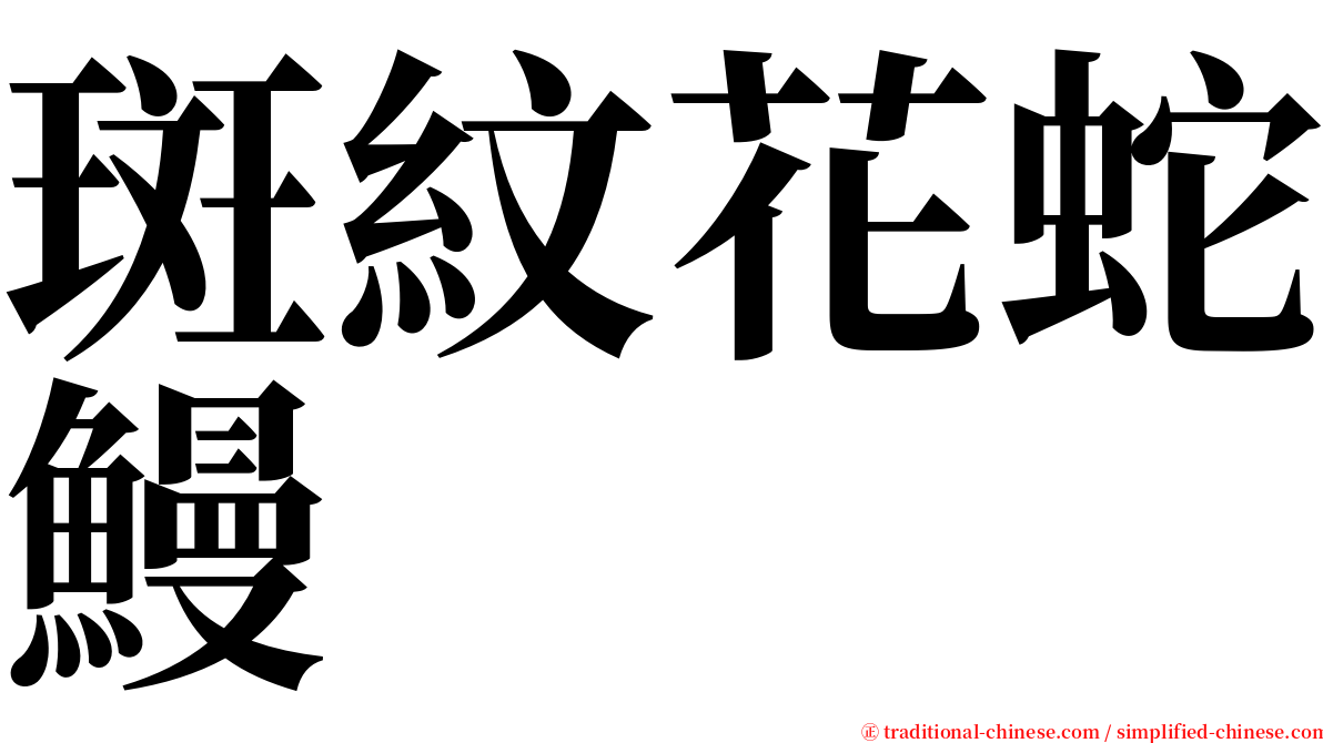 斑紋花蛇鰻 serif font
