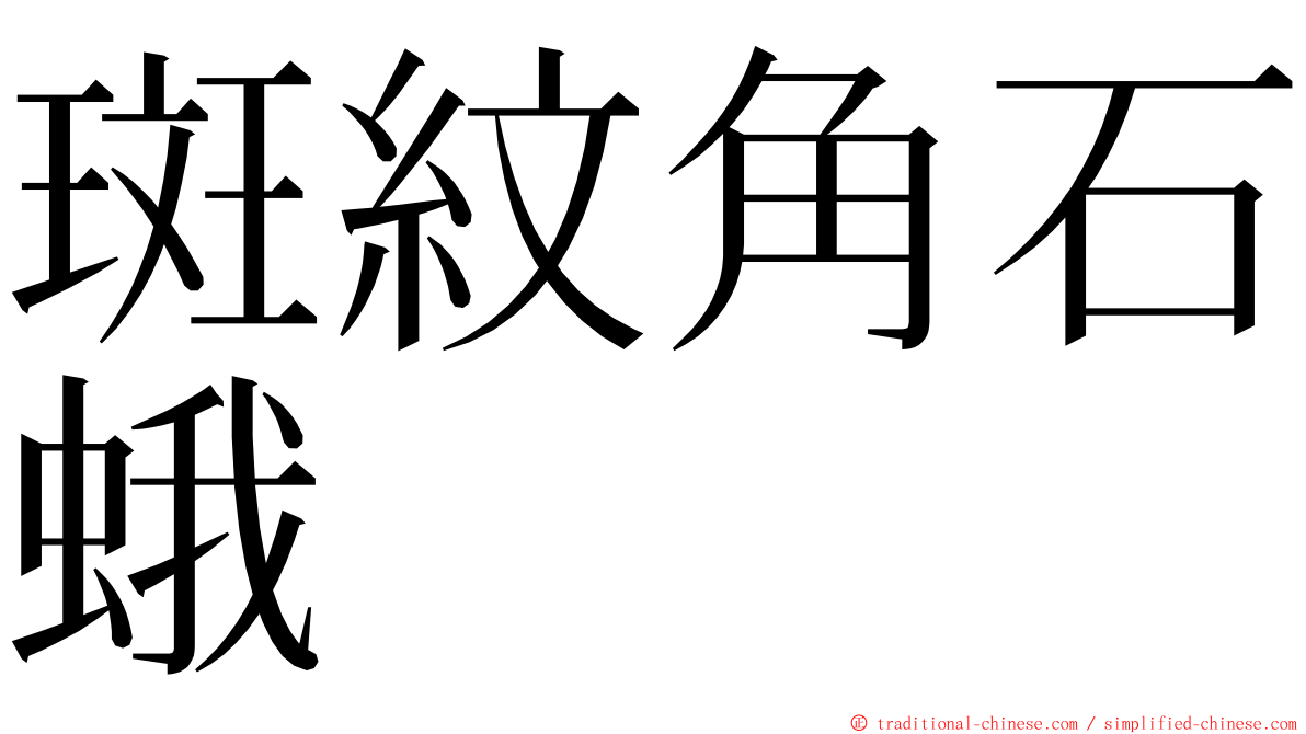 斑紋角石蛾 ming font